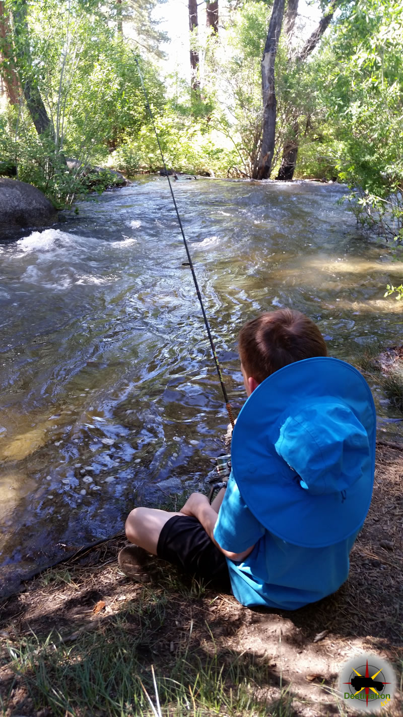 Fishing Rock Creek at French Camp, High Sierra, CA
