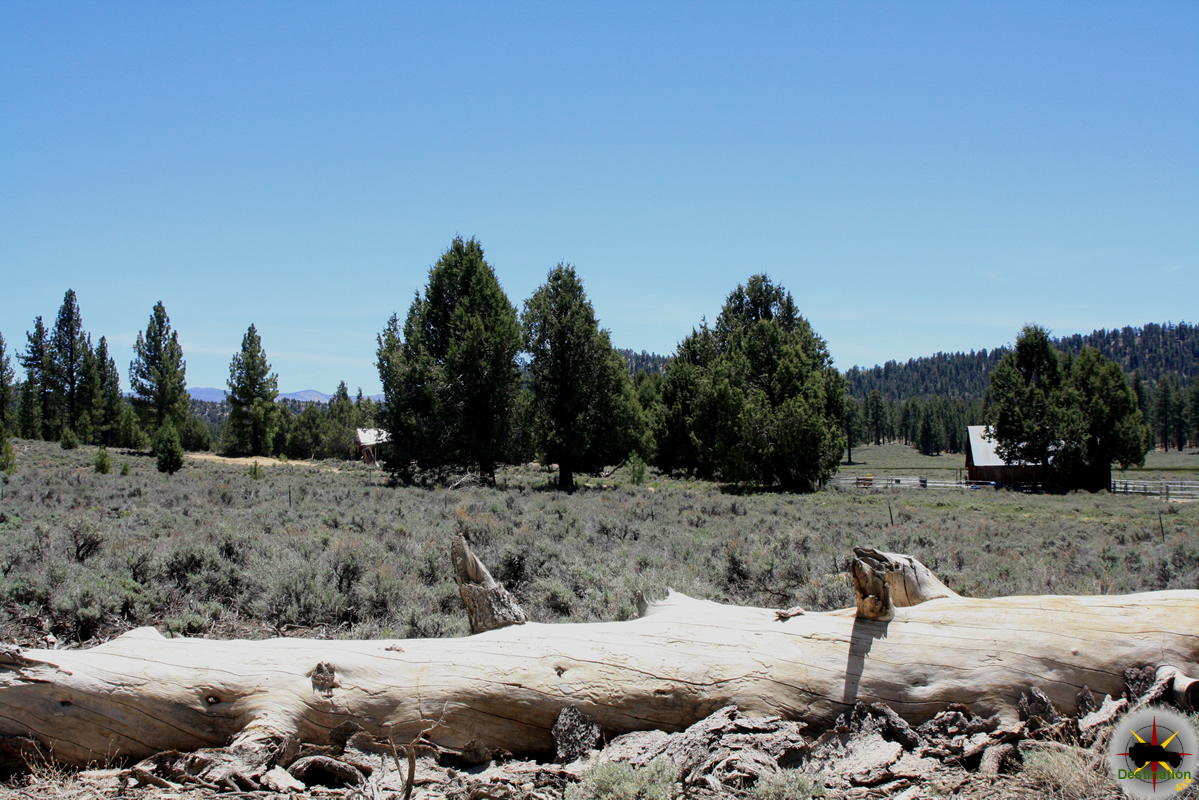 Valley Road 3N14 Big Bear backcountry road Destination4x4